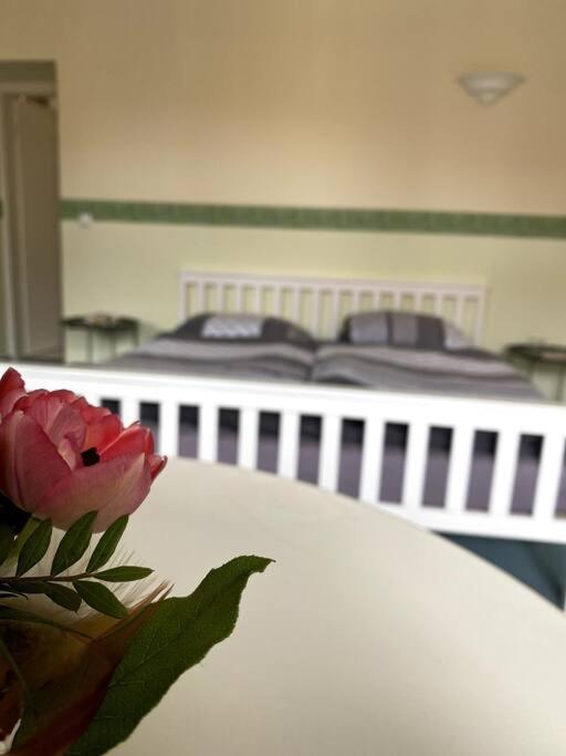 Apartment Sonnenterrasse Budziszyn Zewnętrze zdjęcie